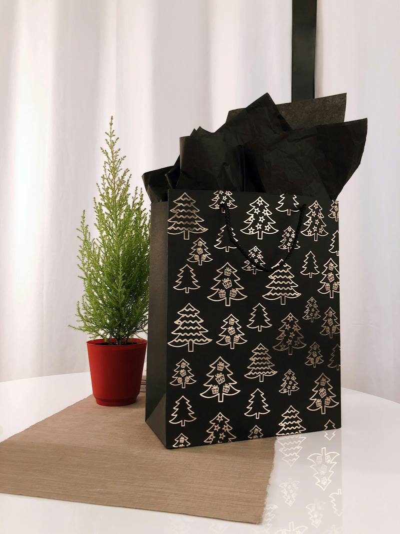 luxury Gift Packaging Bags with Christmas design.jpg